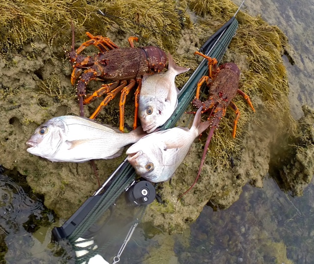 Crays&Snapper.jpg